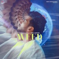 Weed Vipul Kapoor MP3 Song, Weed Album