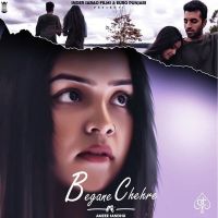 Begane Chehre Amzee Sandhu MP3 Song, Begane Chehre Album