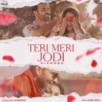 Teri Meri Jodi Diamond MP3 Song, Teri Meri Jodi Album