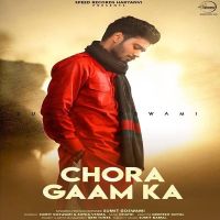 Chora Gaam Ka Sumit Goswami MP3 Song, Chora Gaam Ka Album