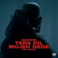 Tera Dil Mujeh Dede Hunterz MP3 Song, Tera Dil Mujeh Dede Album