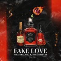 Fake Love Karan Dhaliwal MP3 Song, Fake Love Album