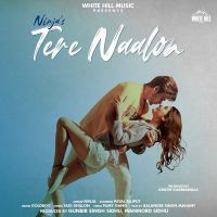 Tere Naalon Ninja MP3 Song, Tere Naalon Album
