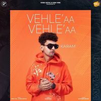 Vehle Aa Vehle Aa Karam MP3 Song, Vehle Aa Vehle Aa Album