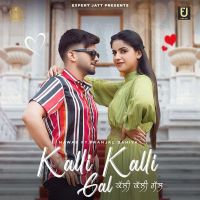 Kalli Kalli Gal Nawab MP3 Song, Kalli Kalli Gal Album