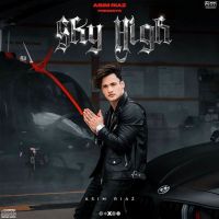 Sky High Asim Riaz MP3 Song, Sky High Album