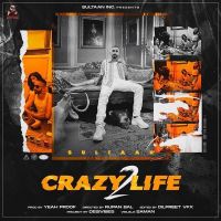 Crazy Life 2 Sultaan MP3 Song, Crazy Life 2 Album