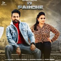 17 Parche Gurlej Akhtar, Diljaan MP3 Song, 17 Parche Album
