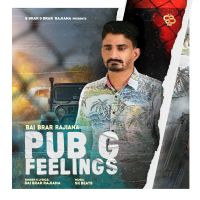 Pubg Feelings Bai Brar Rajiana MP3 Song, Pubg Feelings Album