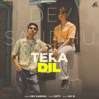 Tera Dil Dev Sandhu MP3 Song, Tera Dil Album