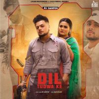 Dil Tudwa Ke RV C, os MP3 Song, Dil Tudwa Ke Album