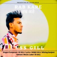 Rab kare SS Gill MP3 Song, Rab kare Album