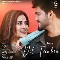 Dil Tere Bin Arjun MP3 Song, Dil Tere Bin Album