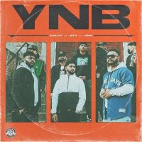 YNB Dxlay, Jitt MP3 Song, YNB Album