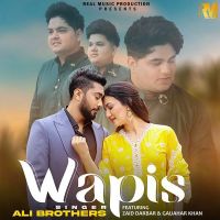 Wapis Ali Brothers MP3 Song, Wapis Album