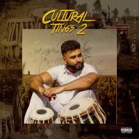 Yaar Le Marde AK, Jazzy B MP3 Song, Cultural Tings 2 Album