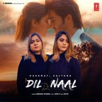 Dil De Naal Hashmat Sultana MP3 Song, Dil De Naal Album