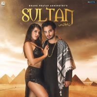 Sultan Bhanu Pratap Agnihotri MP3 Song, Sultan Album