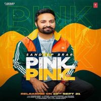 Pink Pink Sandeep Brar MP3 Song, Pink Pink Album