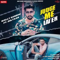 Judge Me Later Sultaan, Wally Sandhu MP3 Song, Judge Me Later Album