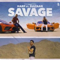 Savage Sultaan, Harp MP3 Song, Savage Album