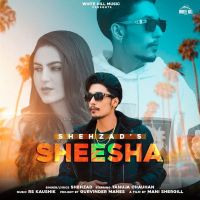 Sheesha Shehzad MP3 Song, Sheesha Album