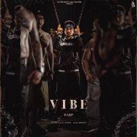 Vibe Harp MP3 Song, Vibe Album