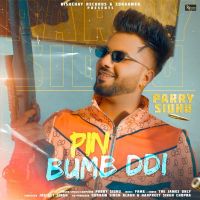 Pin Bumb DDi Parry Sidhu MP3 Song, Pin Bumb DDi Album
