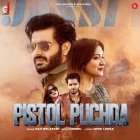 Pistol Puchda Nav Dolorain MP3 Song, Pistol Puchda Album