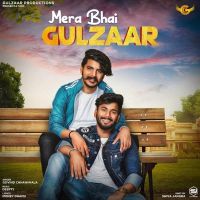 Mera Bhai Gulzaar Govind Chhaniwala MP3 Song, Mera Bhai Gulzaar Album