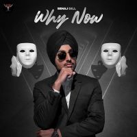 Why Now Sehaj Gill MP3 Song, Why Now Album