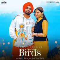 Love Birds Amrey Sidhu MP3 Song, Love Birds Album