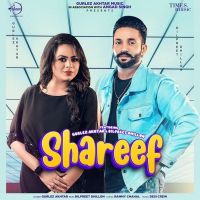 Shareef Gurlej Akhtar, Dilpreet Dhillon MP3 Song, Shareef Album