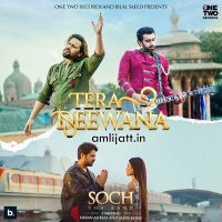 Tera Deewana Soch, Adnan Dhool MP3 Song, Tera Deewana Album