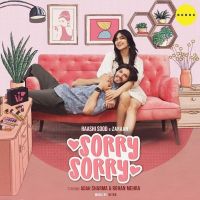Sorry Sorry Raashi Sood, Zaraan MP3 Song, Sorry Sorry Album