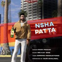 Nsha Patta Mani Pedhni MP3 Song, Nsha Patta Album