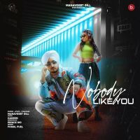 Nobody Like You Manavgeet Gill MP3 Song, Nobody Like You Album