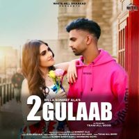 2 Gulaab Billa Sonipat Ala MP3 Song, 2 Gulaab Album