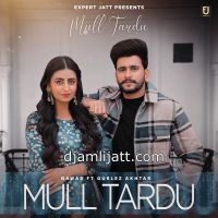 Mull Tardu Gurlez Akhtar, Nawab MP3 Song, Mull Tardu Album
