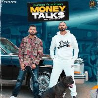 Money Talks Puneet, Sultaan MP3 Song, Money Talks Album