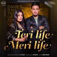 Teri Life Meri Life R Nait, Kaur B MP3 Song, Teri Life Meri Life Album