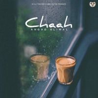 Chaah Angad Aliwal MP3 Song, Chaah Album