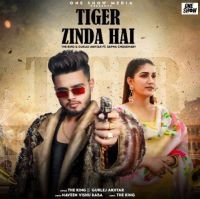 Tiger Zinda Hai The King, Gurlej Akhtar MP3 Song, Tiger Zinda Hai Album