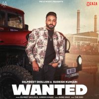 Wanted Dilpreet Dhillon, Sudesh Kumari MP3 Song, Wanted Album