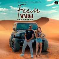 Feem Wargi Raj Sandhu MP3 Song, Feem Wargi Album