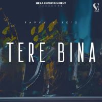 Tere Bina Pavvy Virk MP3 Song, Tere Bina Album