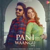 Pani Waangu Gurlez Akhtar, Jagvir Gill MP3 Song, Pani Waangu Album