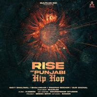 Good Feel Sultaan, Gavy Dhaliwal MP3 Song, Rise of Punjabi Hip Hop (EP) Album