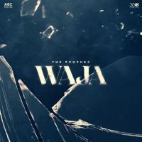 Waja The Prophec MP3 Song, Waja Album