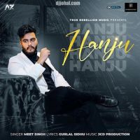 Hanju Meet Singh MP3 Song, Hanju Album